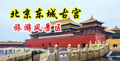 被男人大鸡巴操逼免费视频中国北京-东城古宫旅游风景区